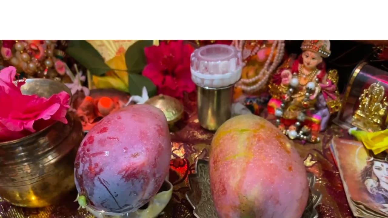Japan's rare 'Miyazaki' mango offered to Lord Ram for the first time (Photo/ANI) Japan's rare 'Miyazaki' mango offered to Lord Ram for the first time (Photo/ANI)