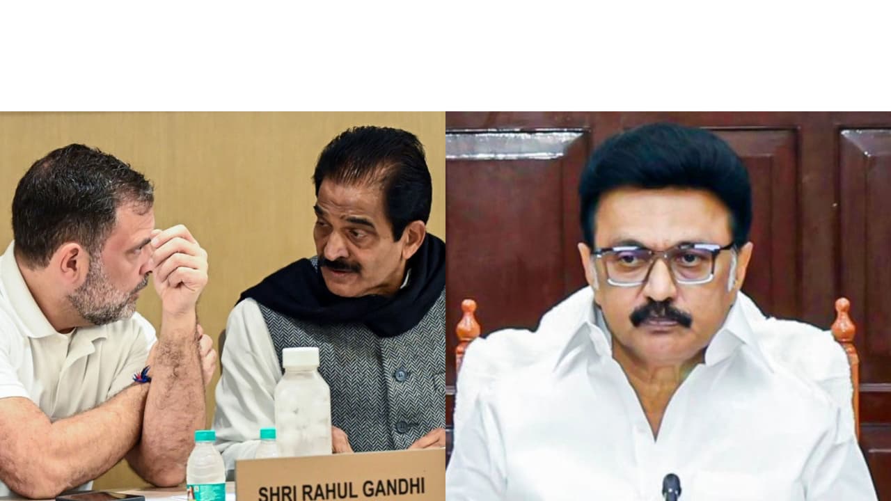 Congress MPs Rahul Gandhi and KC Venugopal, and Tamil Nadu CM MK Stalin (Photo/ANI) Congress MPs Rahul Gandhi and KC Venugopal, and Tamil Nadu CM MK Stalin (Photo/ANI)