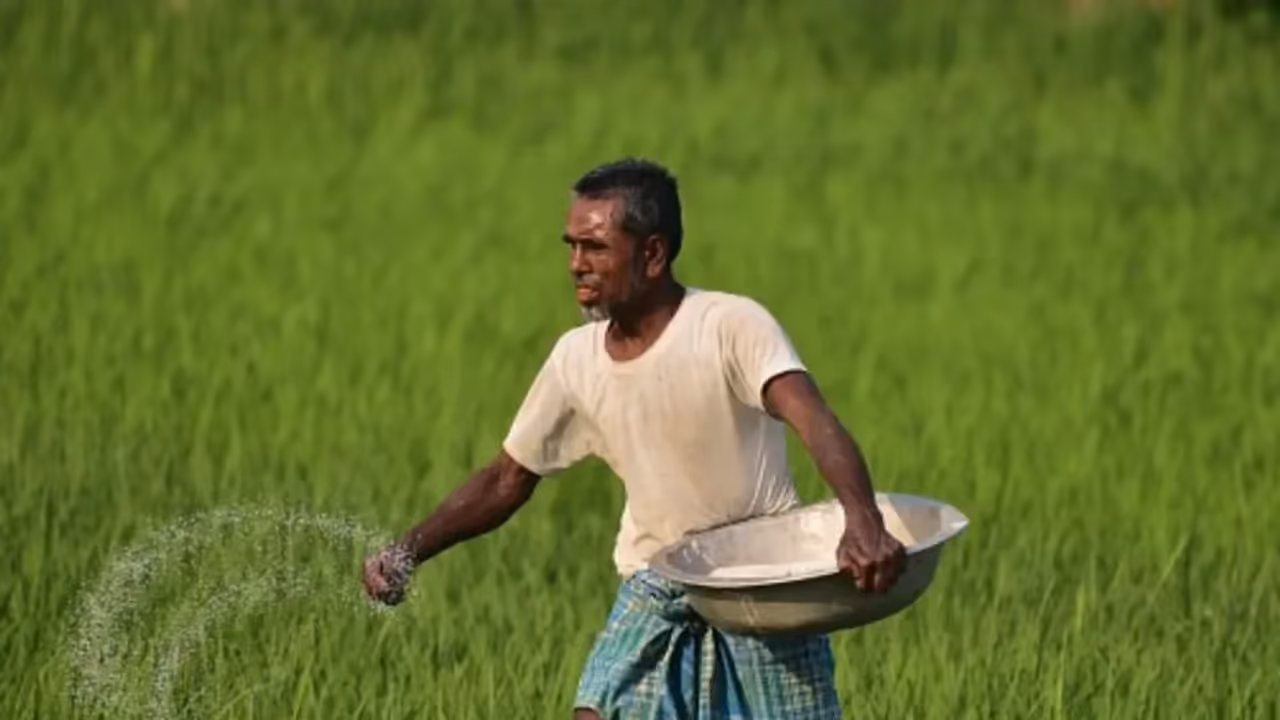 https://stocktwits.com/news articles/markets/equity/krishana phoschem may rally 30 ahead as technicals signal breakout sebi ra vijay gupta/ch8kjs1R5qG