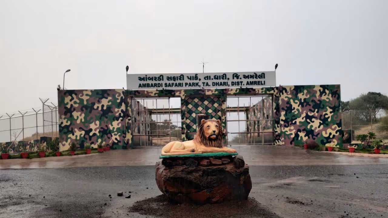 Ambardi Safari Park (Photo/Gujarat CMO) Ambardi Safari Park (Photo/Gujarat CMO)