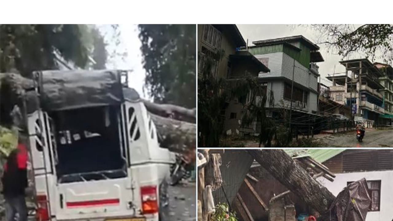 Tree falls on vehicle amid severe weather in Sikkim (Photo/ANI) Tree falls on vehicle amid severe weather in Sikkim (Photo/ANI)