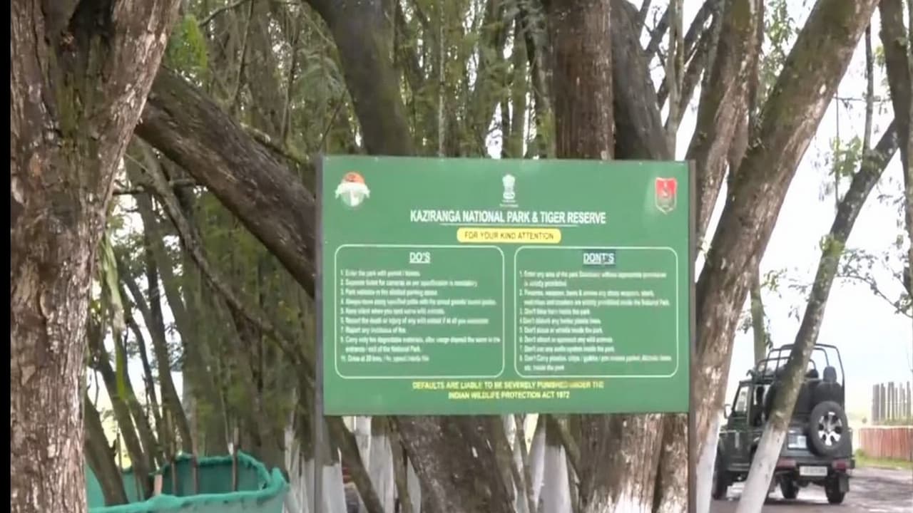 Visual from Kaziranga National Park in Assam (Photo/ANI) Visual from Kaziranga National Park in Assam (Photo/ANI)