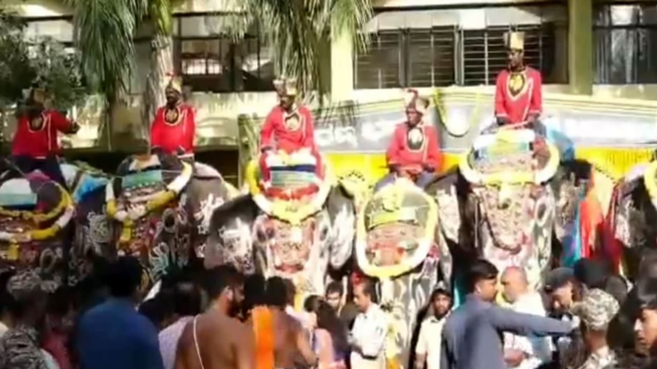 World famous Mysuru Dasara 2026 celebrations begin with a grand welcome accorded to the Dasara elephant squad at Mysuru Palace.(Photo/ ANI) World famous Mysuru Dasara 2026 celebrations begin with a grand welcome accorded to the Dasara elephant squad at Mysuru Palace.(Photo/ ANI)