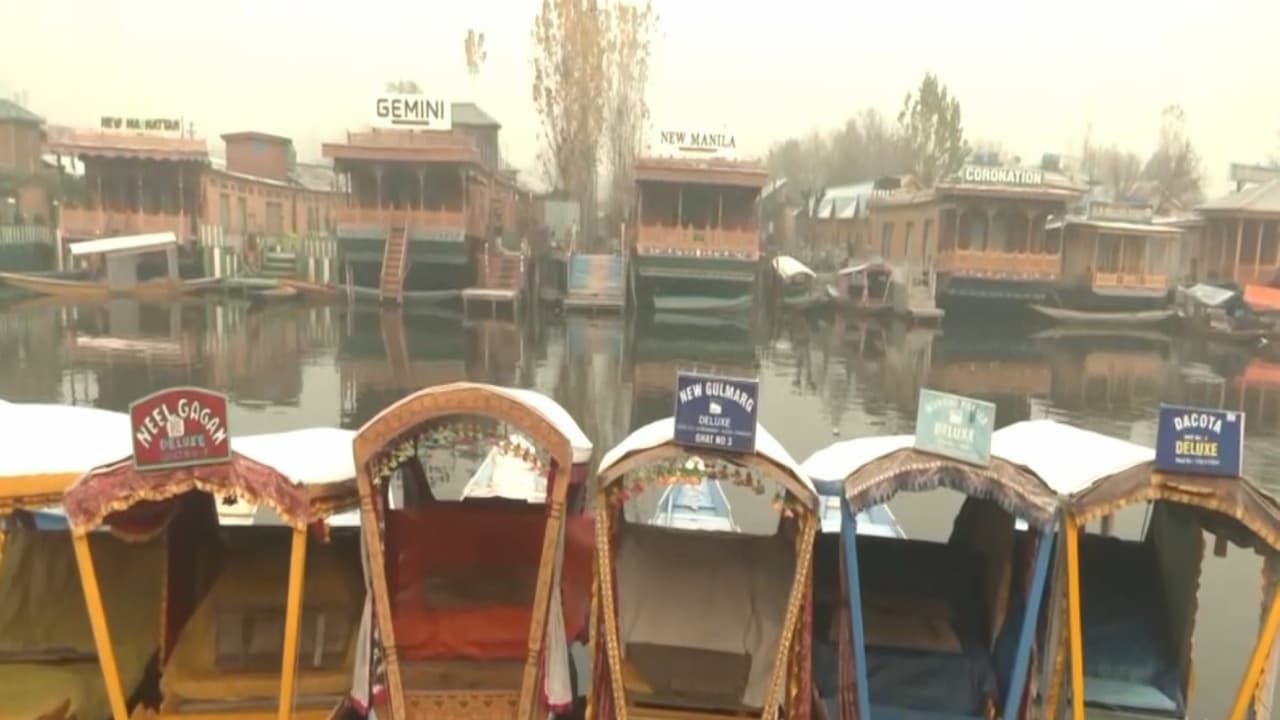 Shikaras (Kashmiri Boats) on Dal Lake (Photo/ANI) Shikaras (Kashmiri Boats) on Dal Lake (Photo/ANI)