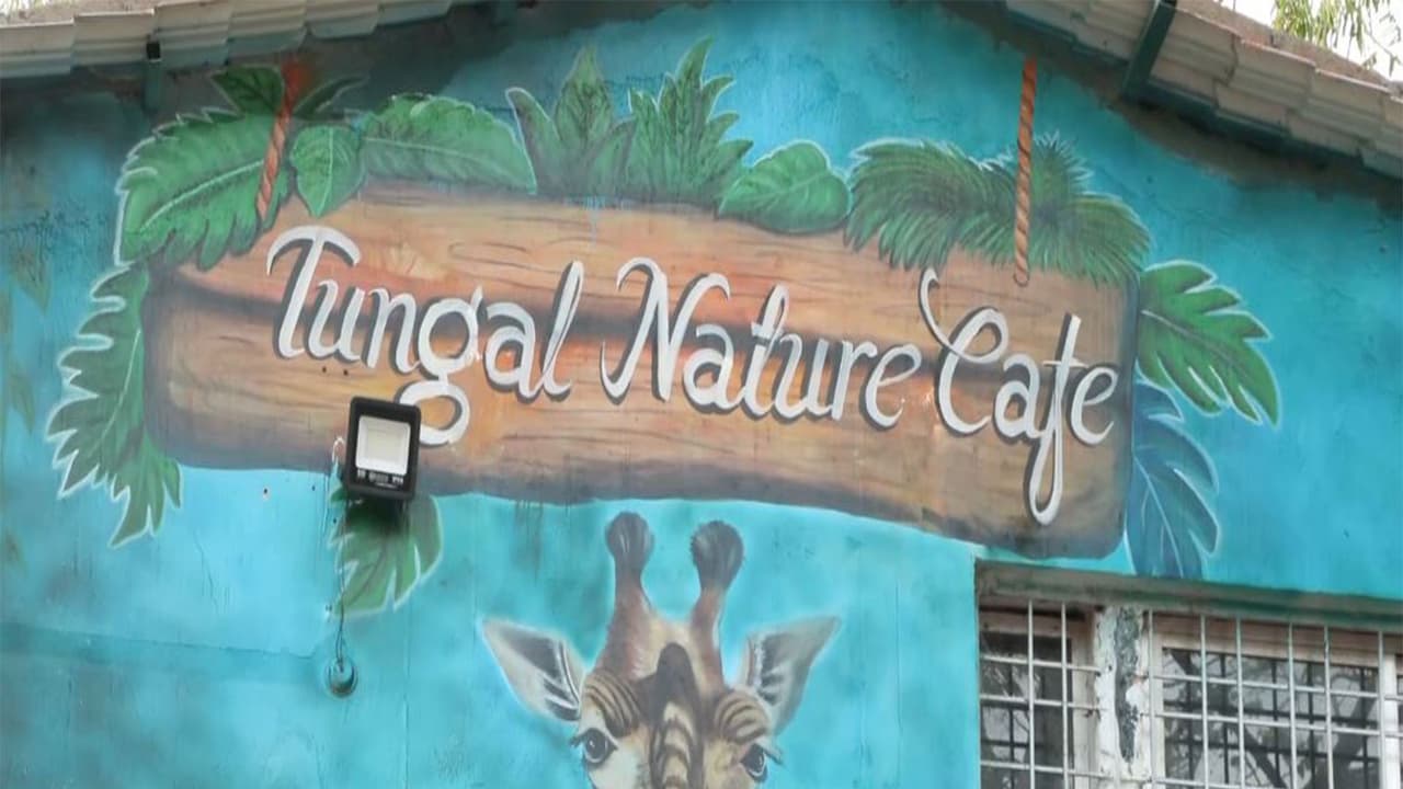 Former women Naxals find new beginning at Sukma’s Tungal Natures Cafe (Photo/ANI) Former women Naxals find new beginning at Sukma’s Tungal Natures Cafe (Photo/ANI)