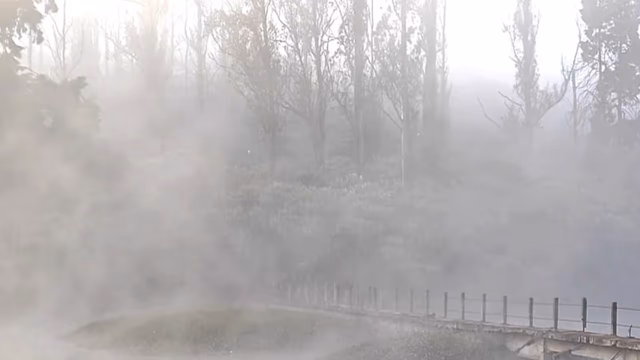 Tamil Nadu's Nilgiris, Ooty shivers (Photo/ANI) Tamil Nadu's Nilgiris, Ooty shivers (Photo/ANI)