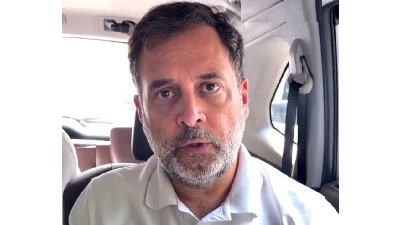 Congress leader Rahul Gandhi (Photo/X/@RahulGandhi) Congress leader Rahul Gandhi (Photo/X/@RahulGandhi)