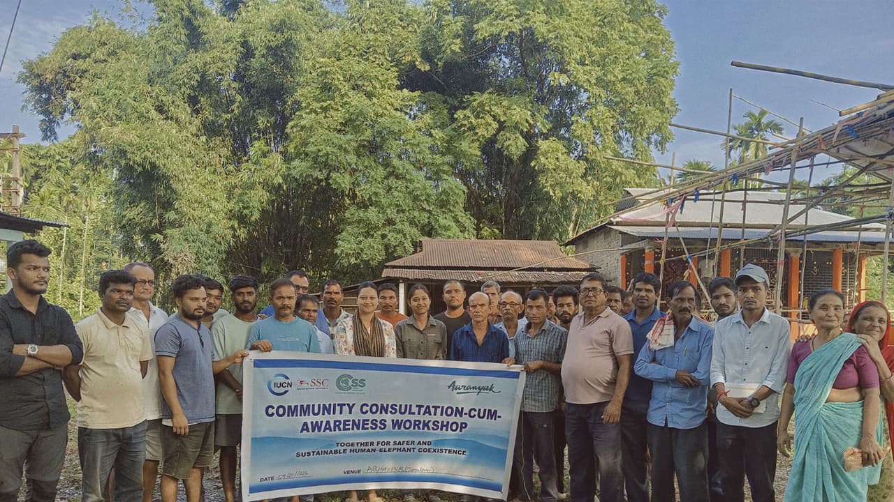 Aaranyak holds community consultations on HEC mitigation in 2 hotspots in Assam (Photo: ANI) Aaranyak holds community consultations on HEC mitigation in 2 hotspots in Assam (Photo: ANI)