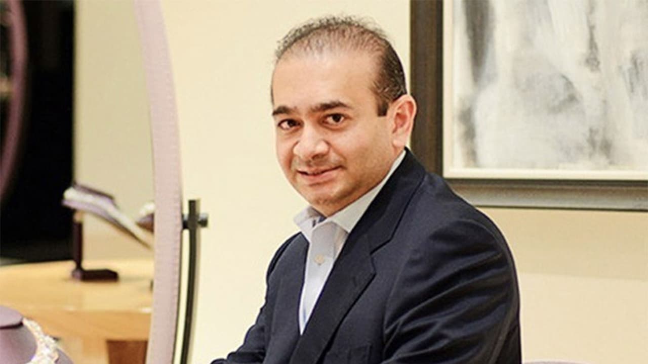 Nirav Modi (File Photo/ANI) Nirav Modi (File Photo/ANI)