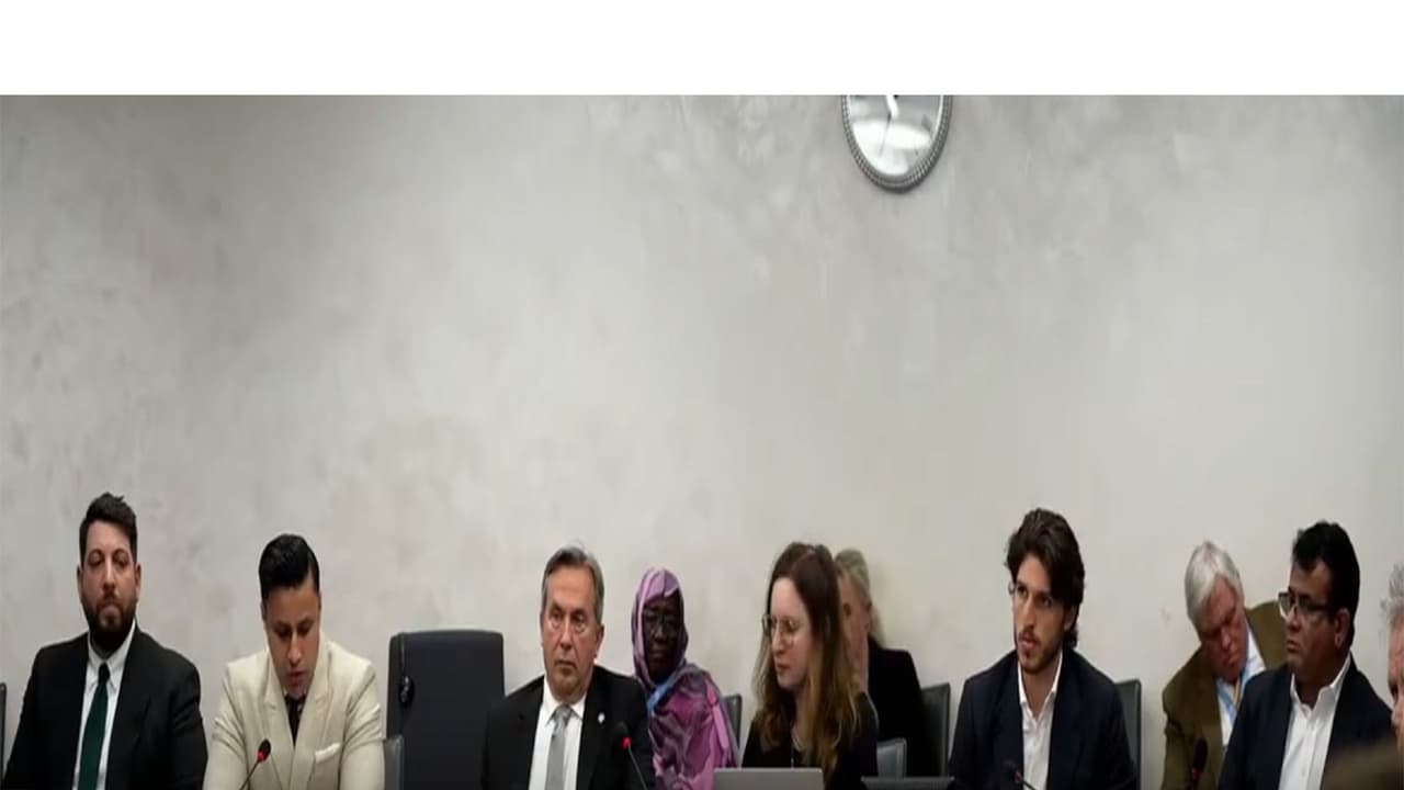 A side event during the 61st session of the United Nations Human Rights Council (Photo/ Youtube/GHRTV World News) A side event during the 61st session of the United Nations Human Rights Council (Photo/ Youtube/GHRTV World News)