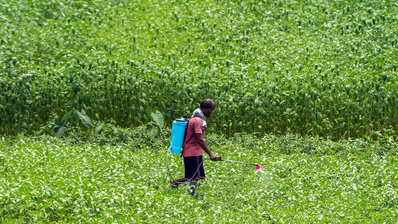 Representative Image (FIle Photo/ANI) Representative Image (FIle Photo/ANI)