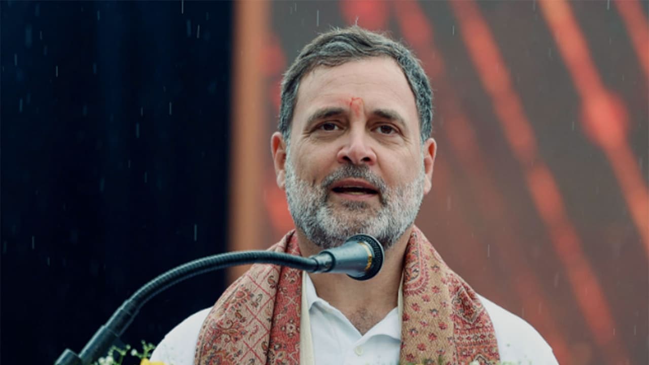 Leader of the Opposition in Lok Sabha, Rahul Gandhi (photo/ANI) Leader of the Opposition in Lok Sabha, Rahul Gandhi (photo/ANI)