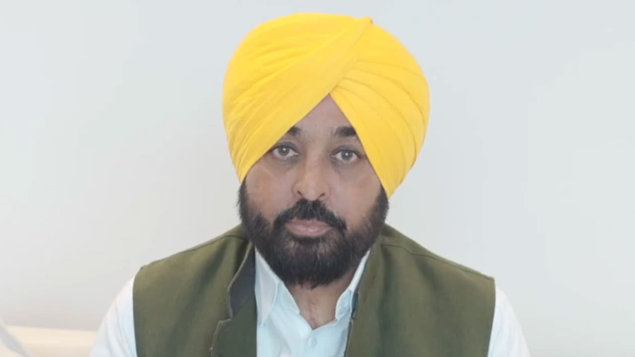 Punjab Chief Minister Bhagwant Mann (Photo/ANI) Punjab Chief Minister Bhagwant Mann (Photo/ANI)