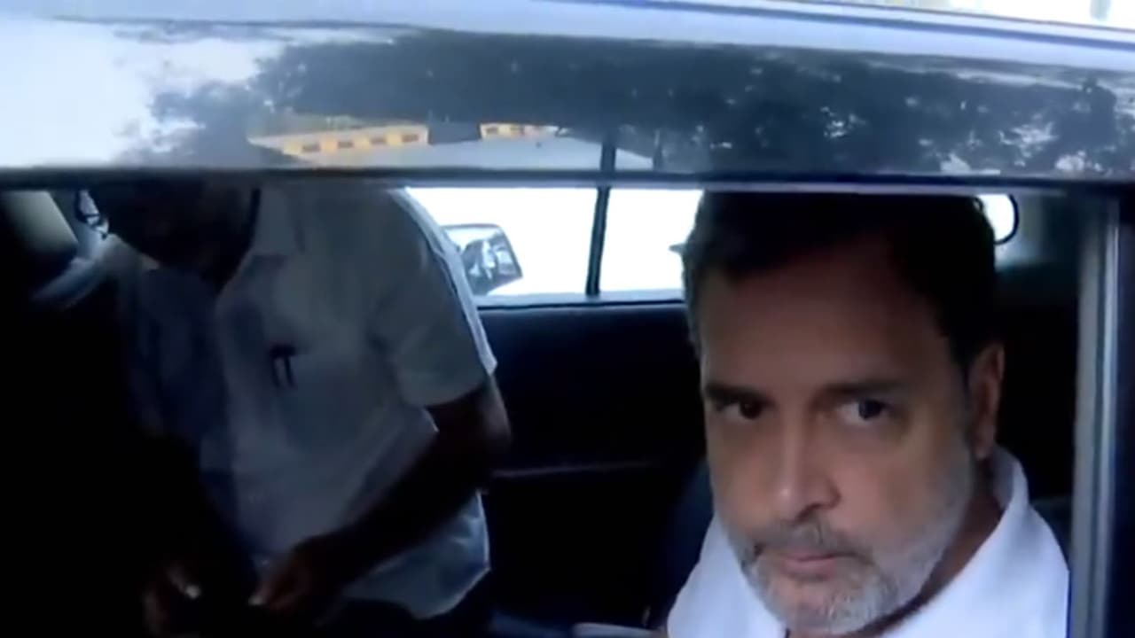 Lok Sabha LoP Rahul Gandhi (Photo/ANI)