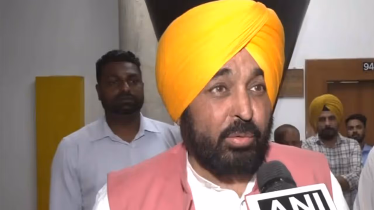 Punjab CM Bhagwant Mann (File Photo/ANI) Punjab CM Bhagwant Mann (File Photo/ANI)