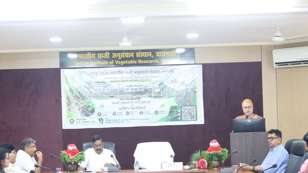 5 day training on grafting techniques in vegetable crops begins in Varanasi (Photo: X/@icar_iivr) 5 day training on grafting techniques in vegetable crops begins in Varanasi (Photo: X/@icar_iivr)