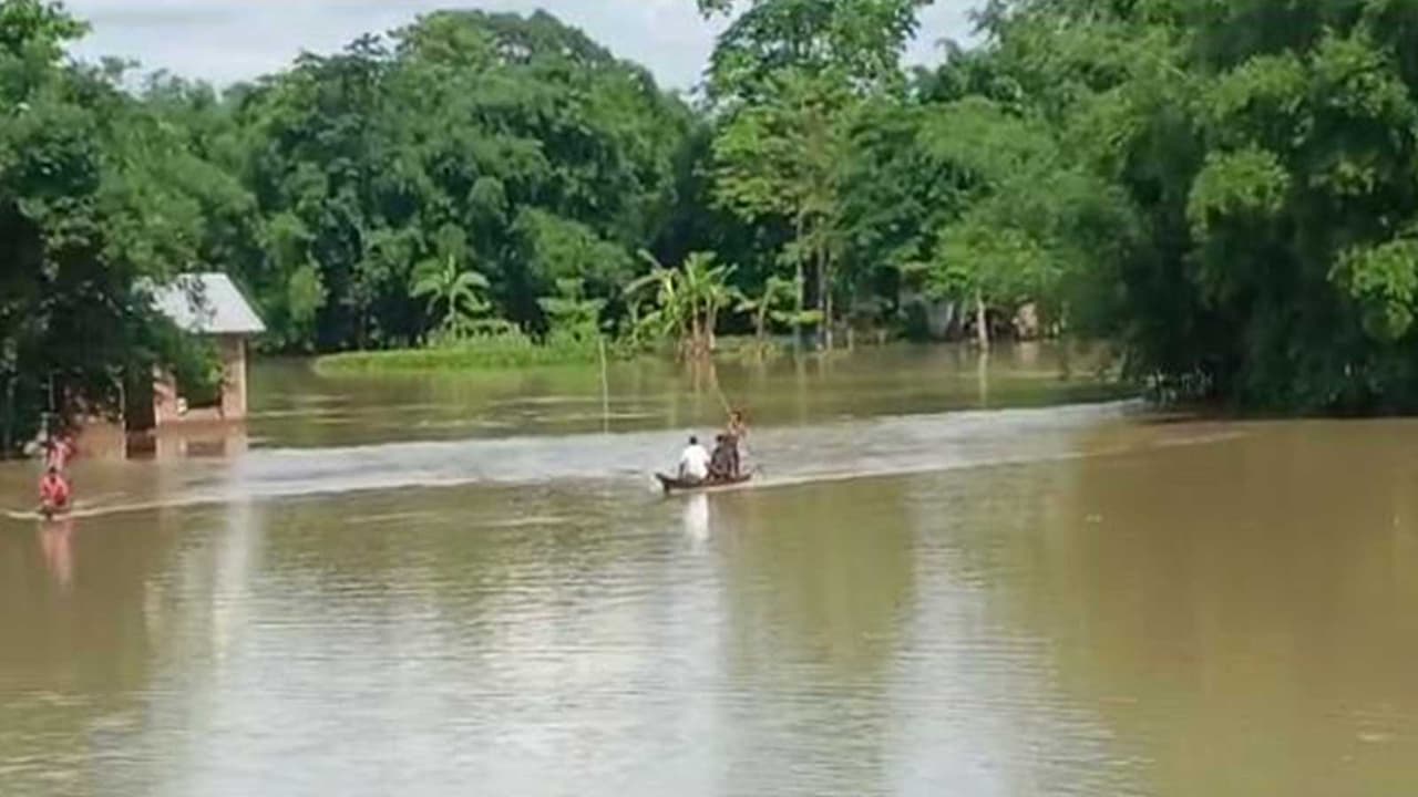 Assam flood (Photo/ANI) Assam flood (Photo/ANI)