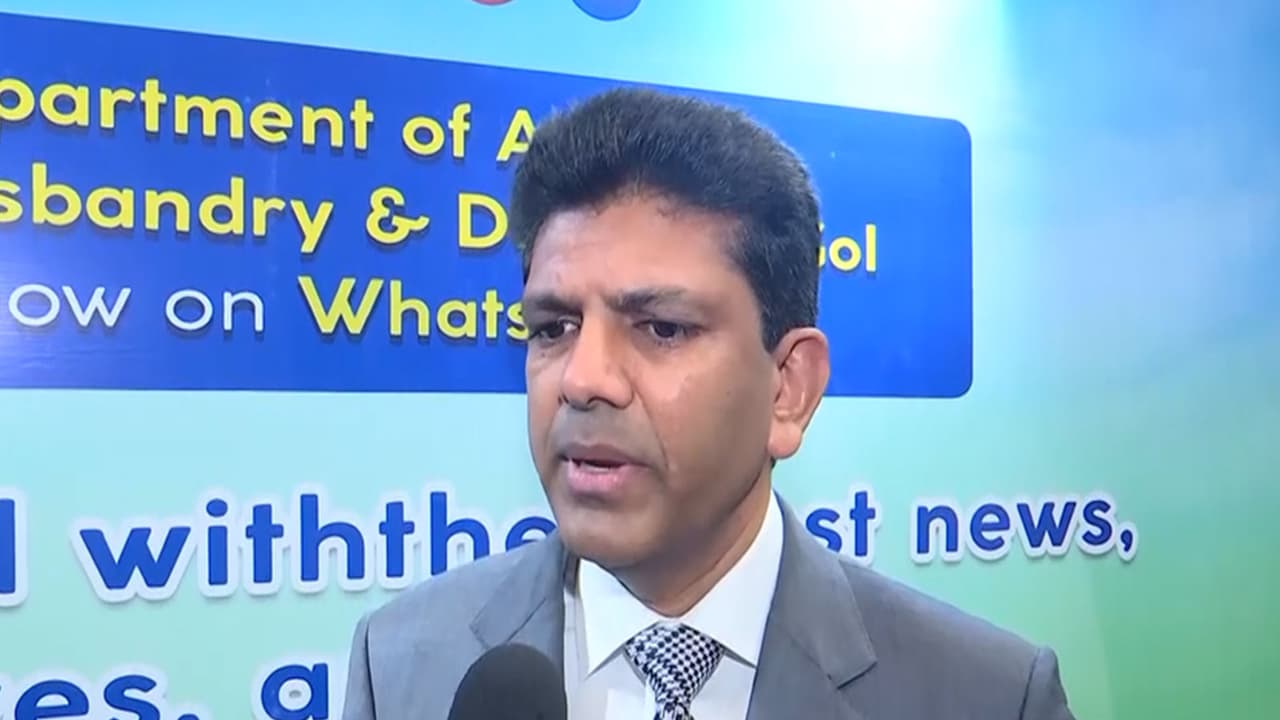 Chandra Sekhar Pemmasani, Minister Of State For Communications (Photo/ANI) Chandra Sekhar Pemmasani, Minister Of State For Communications (Photo/ANI)