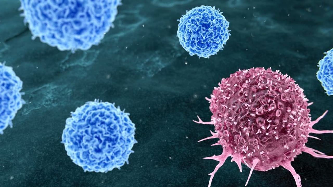 https://stocktwits.com/news articles/markets/equity/sls ibrx cathie wood ark personalized cancer vaccine future/cZY8MdwRJpY https://stocktwits.com/news articles/markets/equity/sls ibrx cathie wood ark personalized cancer vaccine future/cZY8MdwRJpY