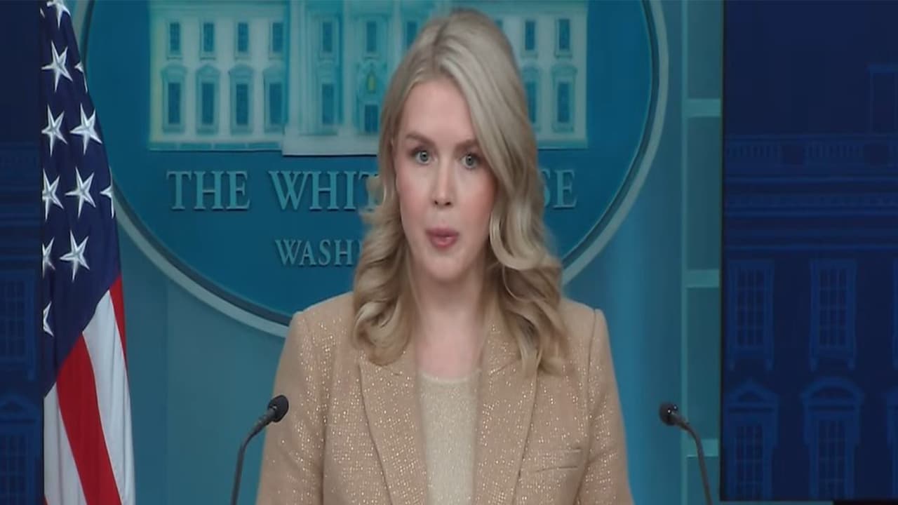 White House Press Secretary Karoline Leavit (Photo/Youtube of White House)