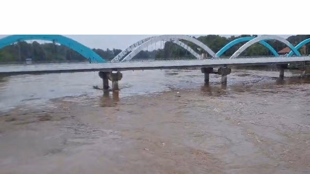 Heavy rain in Pathanamthitta district (Photo/ANI) Heavy rain in Pathanamthitta district (Photo/ANI)