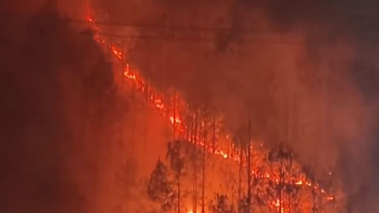 Massive forest fire breaks out in Tehri Garhwal (Photo/ANI) Massive forest fire breaks out in Tehri Garhwal (Photo/ANI)