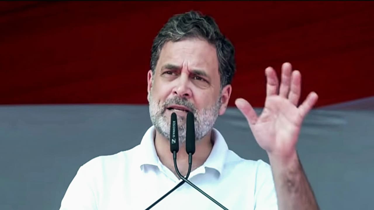 Congress MP Rahul Gandhi (Photo: ANI) Congress MP Rahul Gandhi (Photo: ANI)