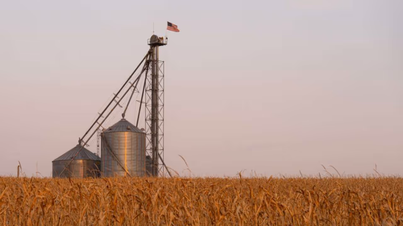 Green Plains Stock Tumbles On Wider Than Expected Loss: Retail Shrugs Off Concerns