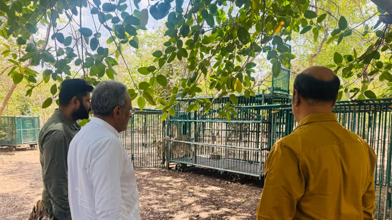 Forest and Environment Minister Arjunbhai Modhwadia at Gir forests (Photo/ANI) Forest and Environment Minister Arjunbhai Modhwadia at Gir forests (Photo/ANI)