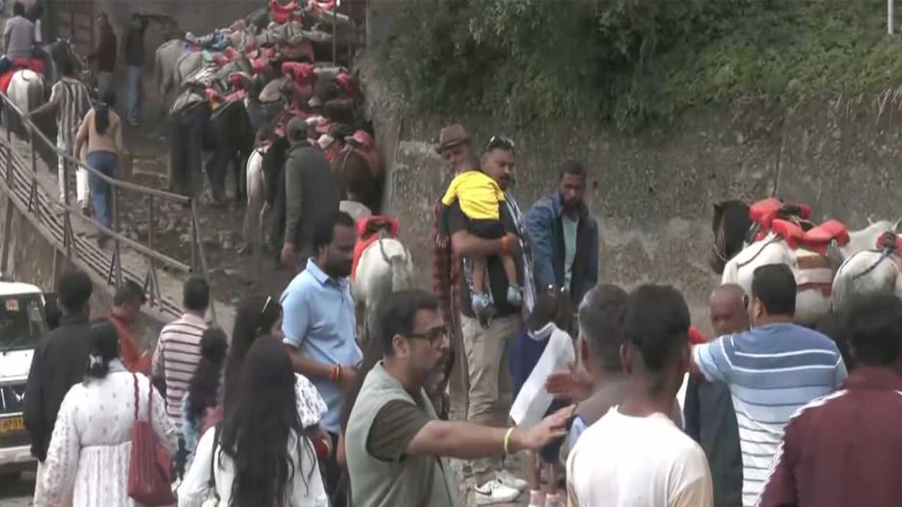 Tourist in Shimla (Photo/ANI) Tourist in Shimla (Photo/ANI)