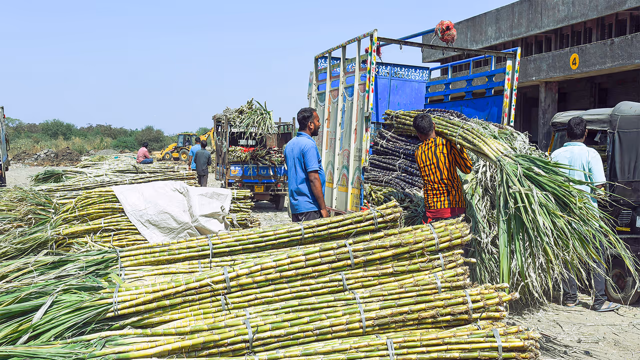 Representative Image (File Photo/ANI) Representative Image (File Photo/ANI)