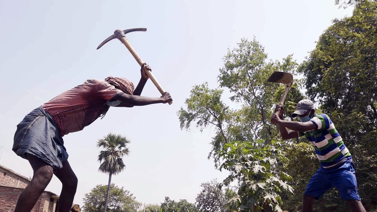 Workers at a MNREGA site (File Photo/ANI) Workers at a MNREGA site (File Photo/ANI)