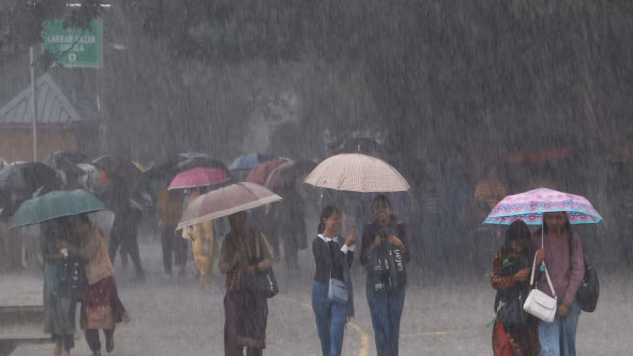 Heavy monsoon shower in Himachal Pradesh (Photo/ANI) Heavy monsoon shower in Himachal Pradesh (Photo/ANI)