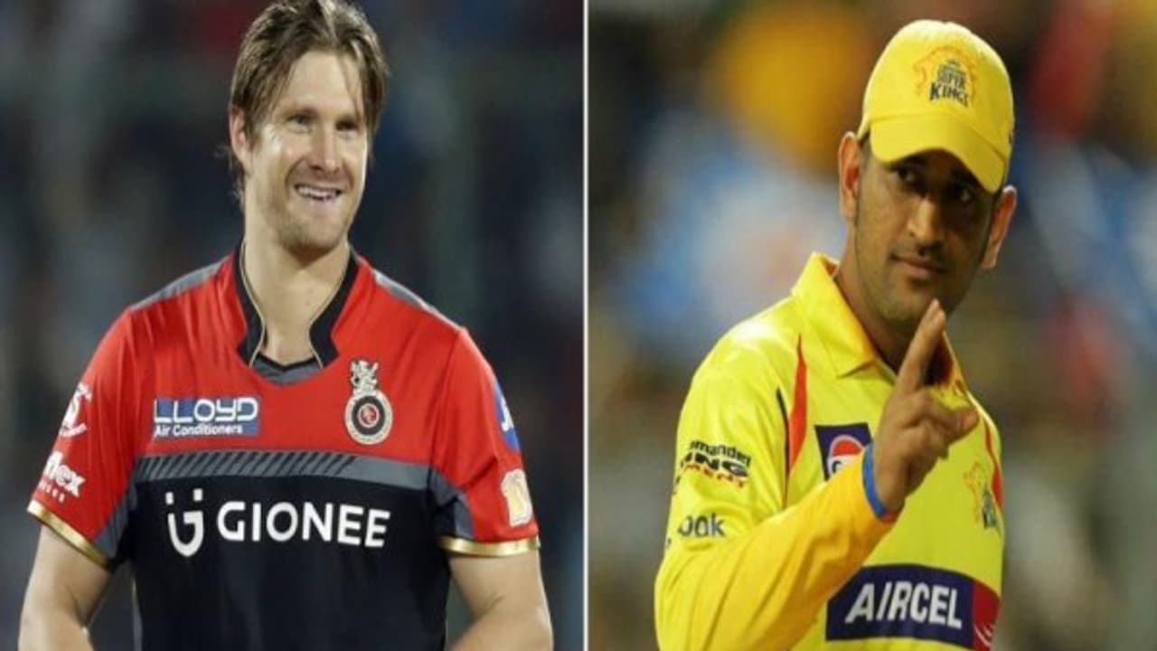 தல தோனிக்கு நான் நன்றி கடன் பட்டுருக்கேன்!! நெகிழும் ஷேன் வாட்சன் தல தோனிக்கு நான் நன்றி கடன் பட்டுருக்கேன்!! நெகிழும் ஷேன் வாட்சன்