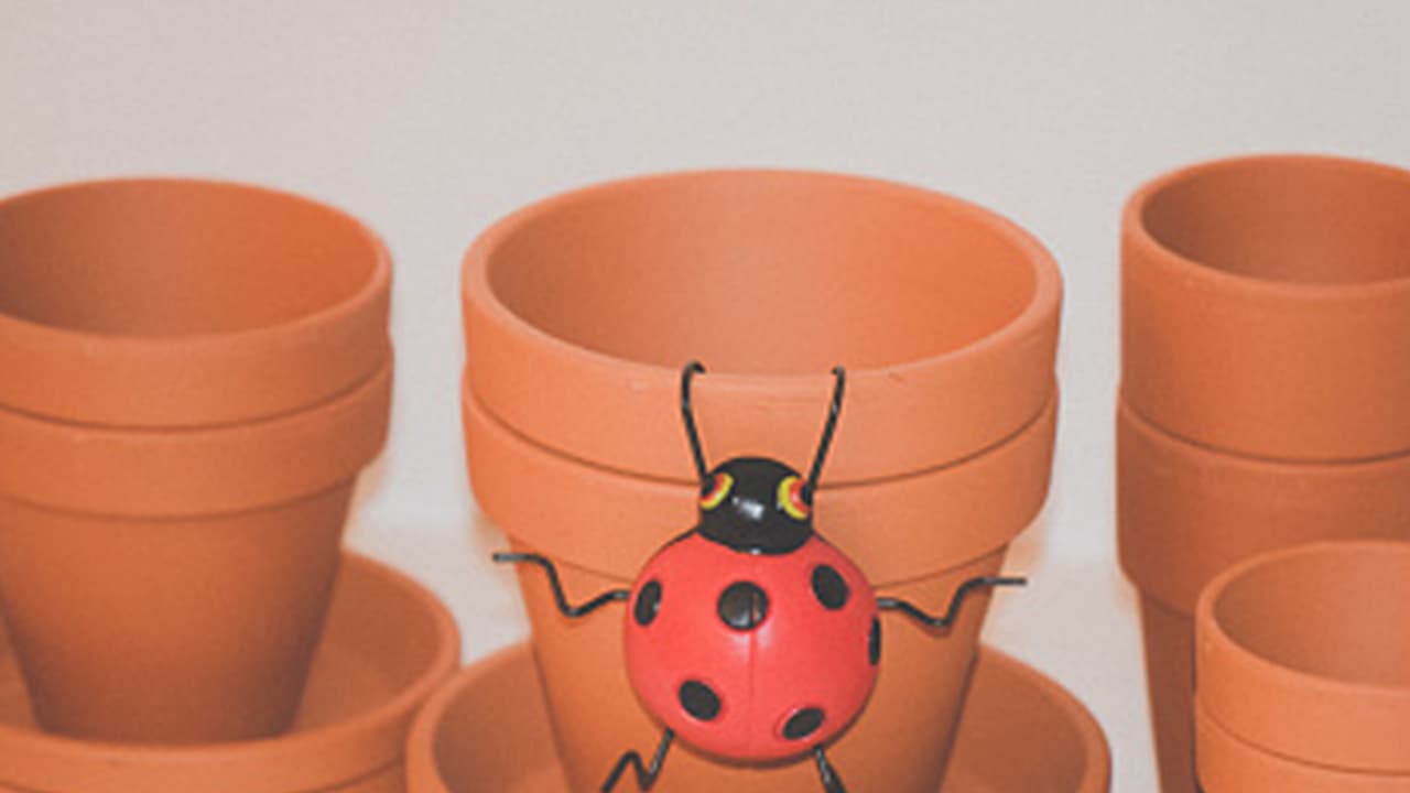 ನೀವೇಕೆ ಮಣ್ಣಿನ ಮಡಕೆಯಲ್ಲಿ ಆಹಾರ ತಯಾರಿಸಿ ತಿನ್ನಲೇಬೇಕು...! ನೀವೇಕೆ ಮಣ್ಣಿನ ಮಡಕೆಯಲ್ಲಿ ಆಹಾರ ತಯಾರಿಸಿ ತಿನ್ನಲೇಬೇಕು...!