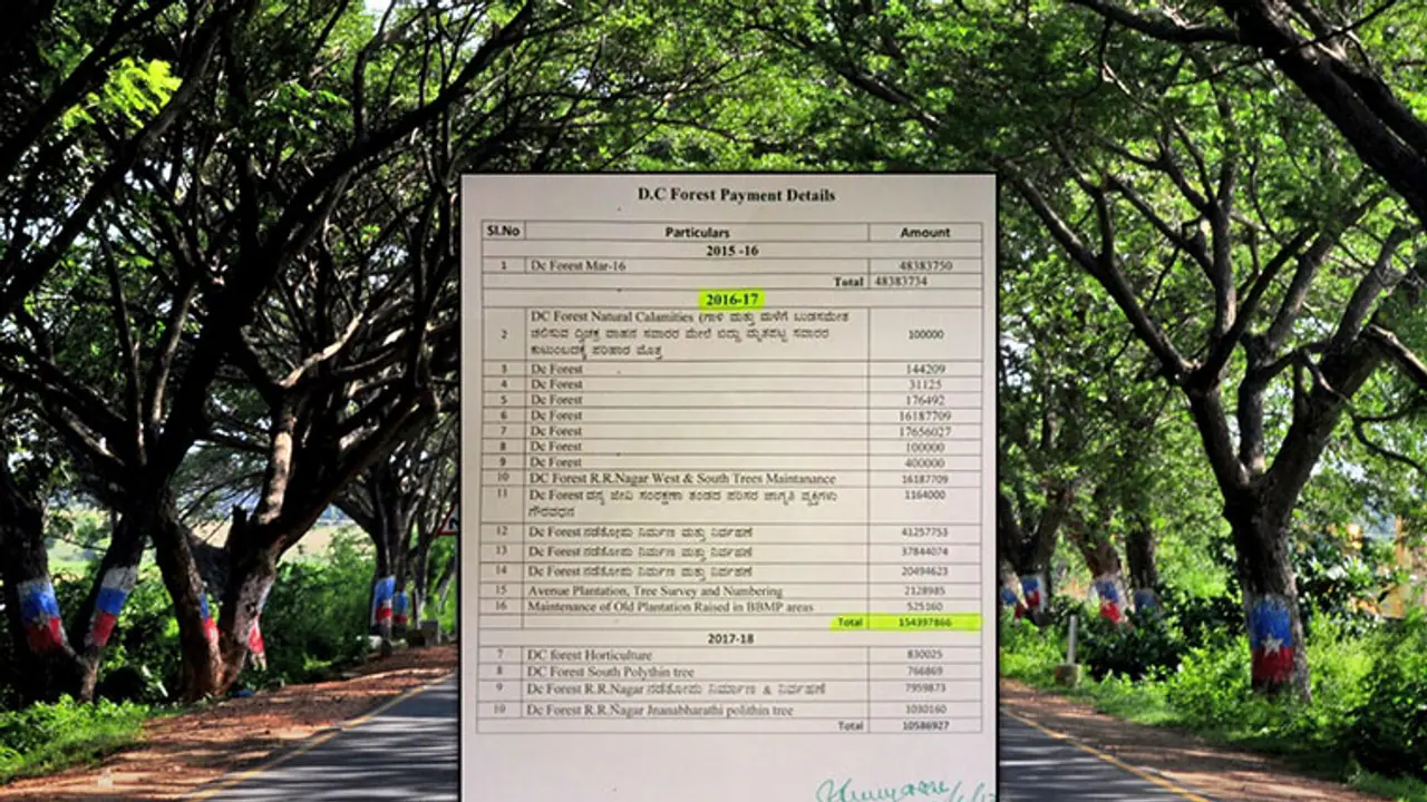 No count on Bengaluru trees, still BBMP spent Rs 15.40 crores No count on Bengaluru trees, still BBMP spent Rs 15.40 crores
