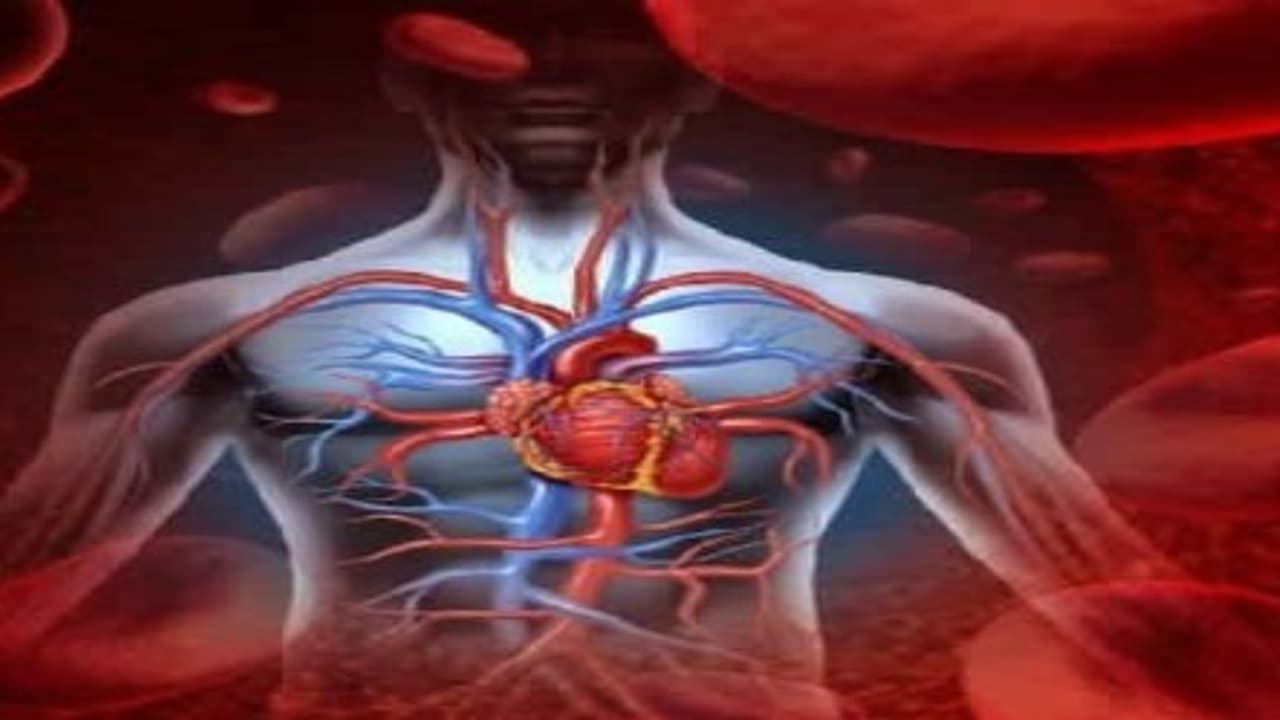 ரத்தத்தை சுத்தமாக்க இந்த எளிய வீட்டு உணவுகளை சாப்பிட மறக்காதீங்க… ரத்தத்தை சுத்தமாக்க இந்த எளிய வீட்டு உணவுகளை சாப்பிட மறக்காதீங்க…