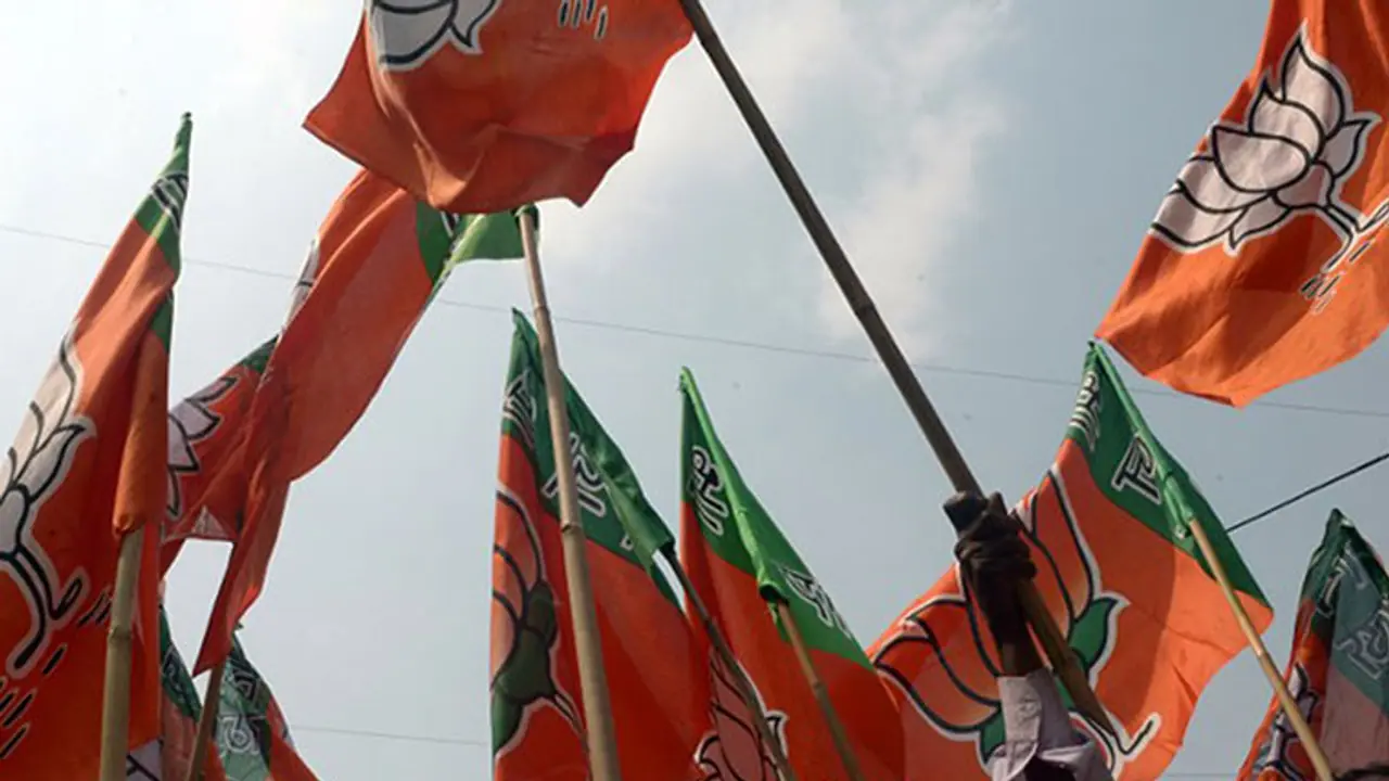 ಬಿಜೆಪಿಗೆ ಭರ್ಜರಿ ಜಯಭೇರಿ ಬಿಜೆಪಿಗೆ ಭರ್ಜರಿ ಜಯಭೇರಿ