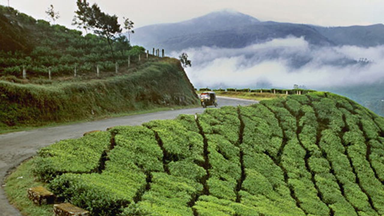 Here's why Munnar is the most romantic destination in Kerala Here's why Munnar is the most romantic destination in Kerala