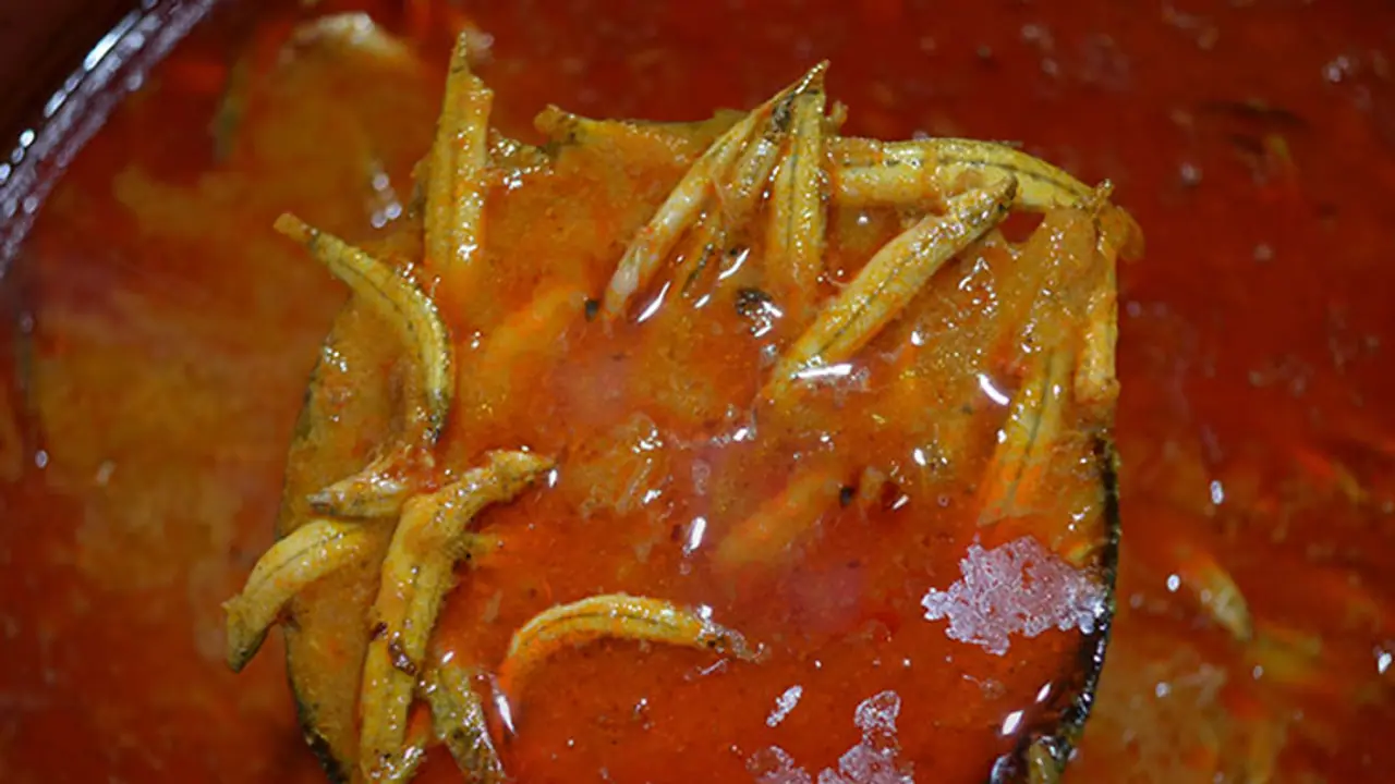 Tamil Nadu may have found its state fish in Ayirai Tamil Nadu may have found its state fish in Ayirai