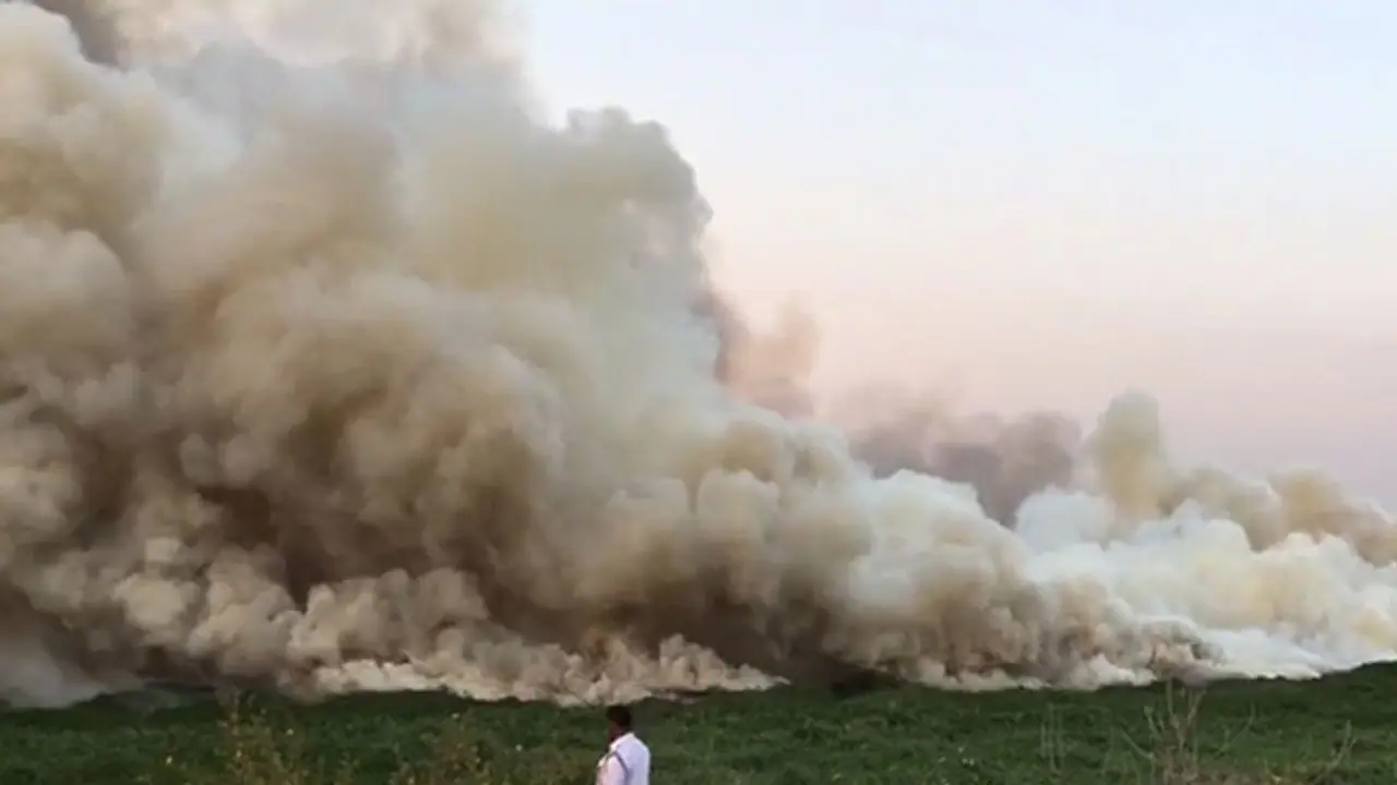 BESCOM to cut electricity to industries around Bellandur Lake BESCOM to cut electricity to industries around Bellandur Lake