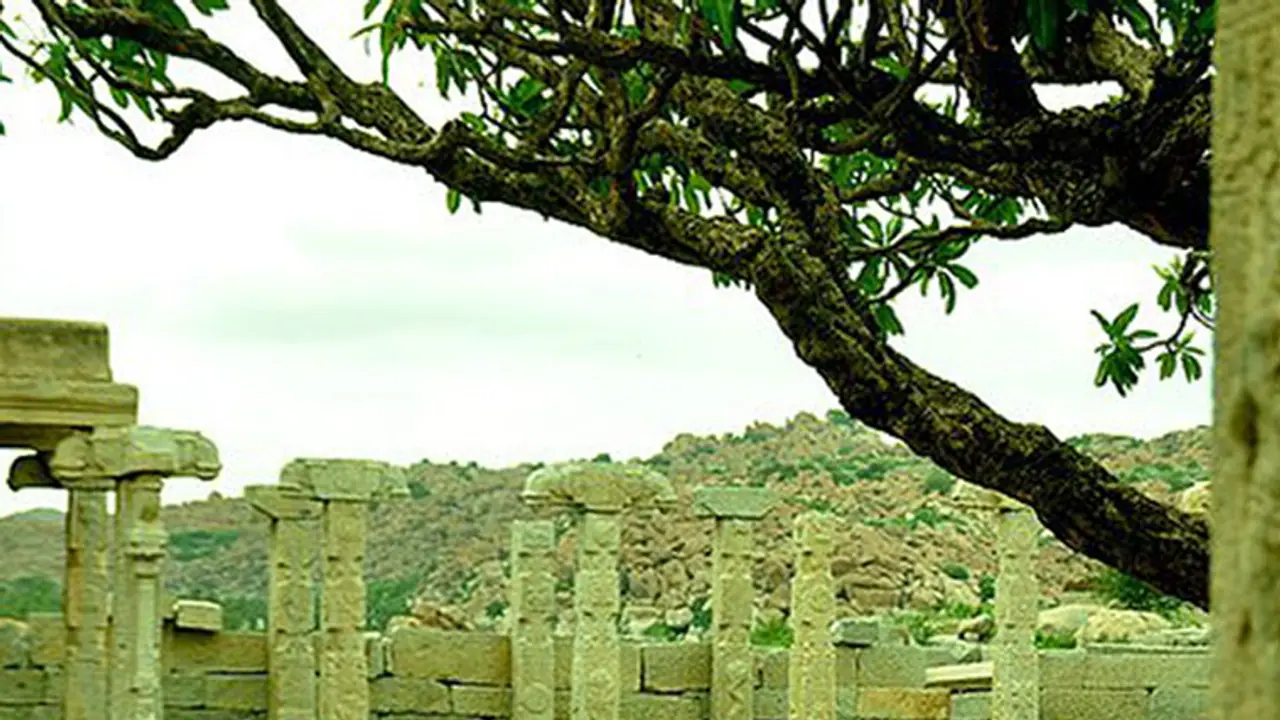 Hindus in India are 'unclean and dirty': Malaysian University Hindus in India are 'unclean and dirty': Malaysian University