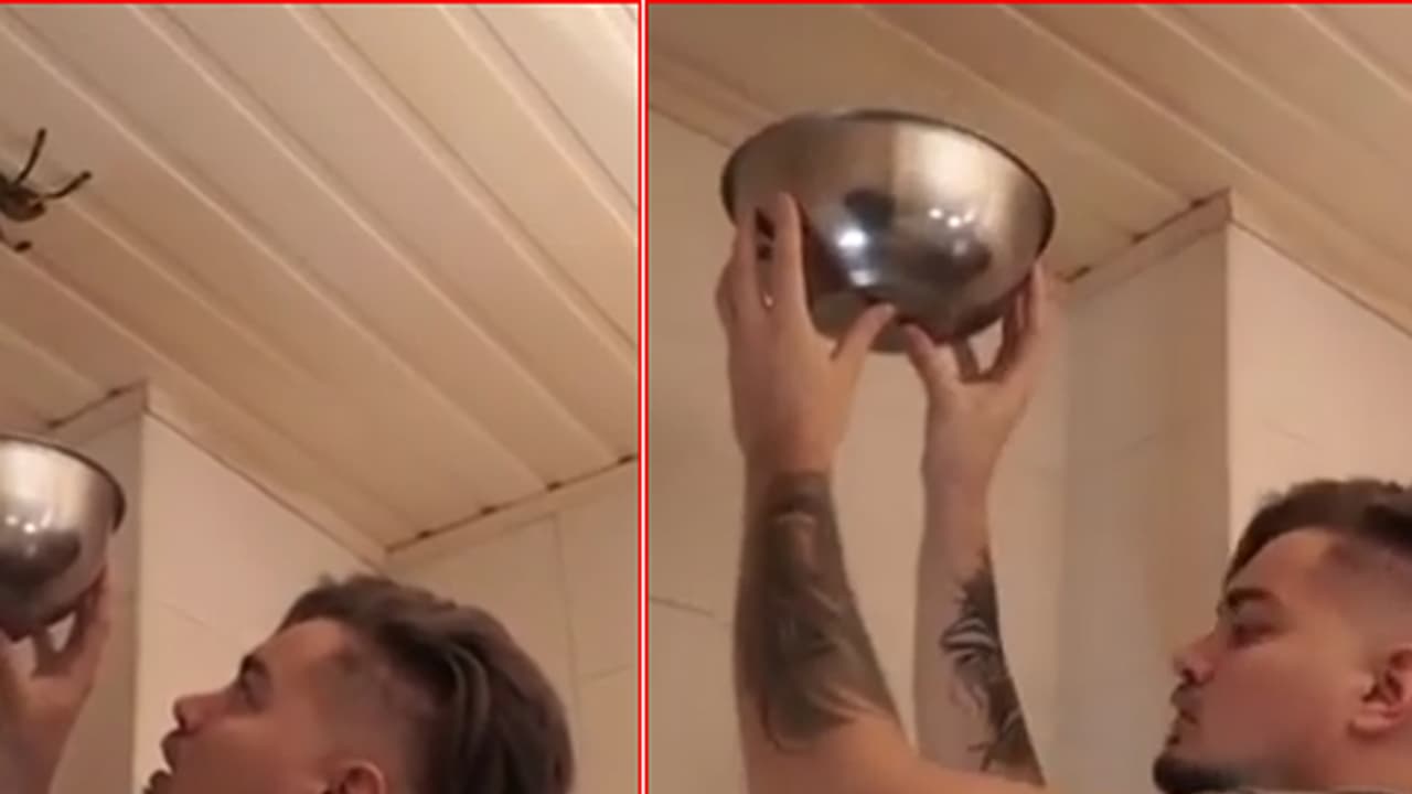 (ವಿಡಿಯೋ)ಜೇಡ ಹಿಡಿಯಲು ಹೋದ ಯುವಕ: ಮುಂದೆ ನಡೆದ ಅಚಾತುರ್ಯ ಕಂಡು ಹೌಹಾರುತ್ತೀರಿ.. (ವಿಡಿಯೋ)ಜೇಡ ಹಿಡಿಯಲು ಹೋದ ಯುವಕ: ಮುಂದೆ ನಡೆದ ಅಚಾತುರ್ಯ ಕಂಡು ಹೌಹಾರುತ್ತೀರಿ..