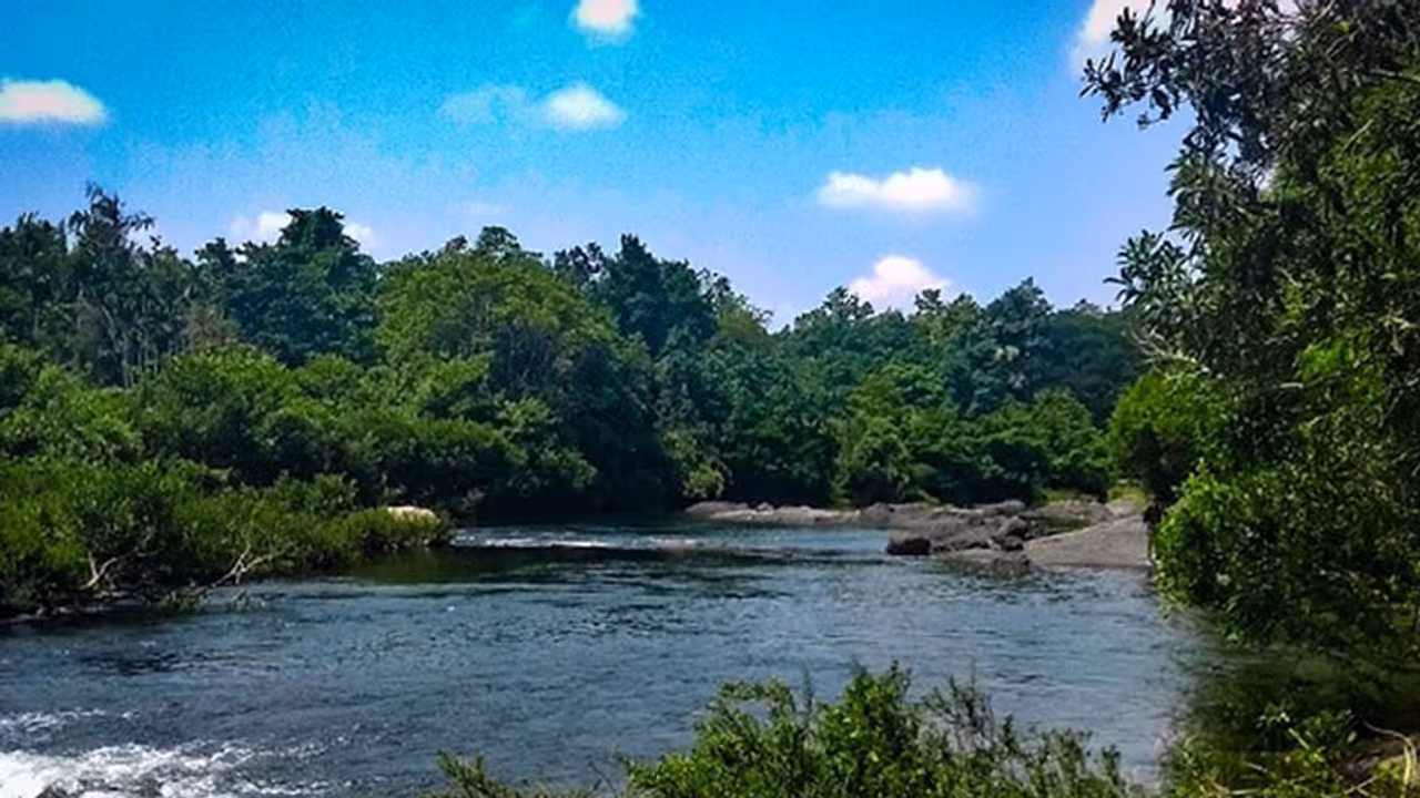 വൈറസ് ബാധ:ജാനകിക്കാട്ടില് സഞ്ചാരികള്ക്ക് നിയന്ത്രണം വൈറസ് ബാധ:ജാനകിക്കാട്ടില് സഞ്ചാരികള്ക്ക് നിയന്ത്രണം