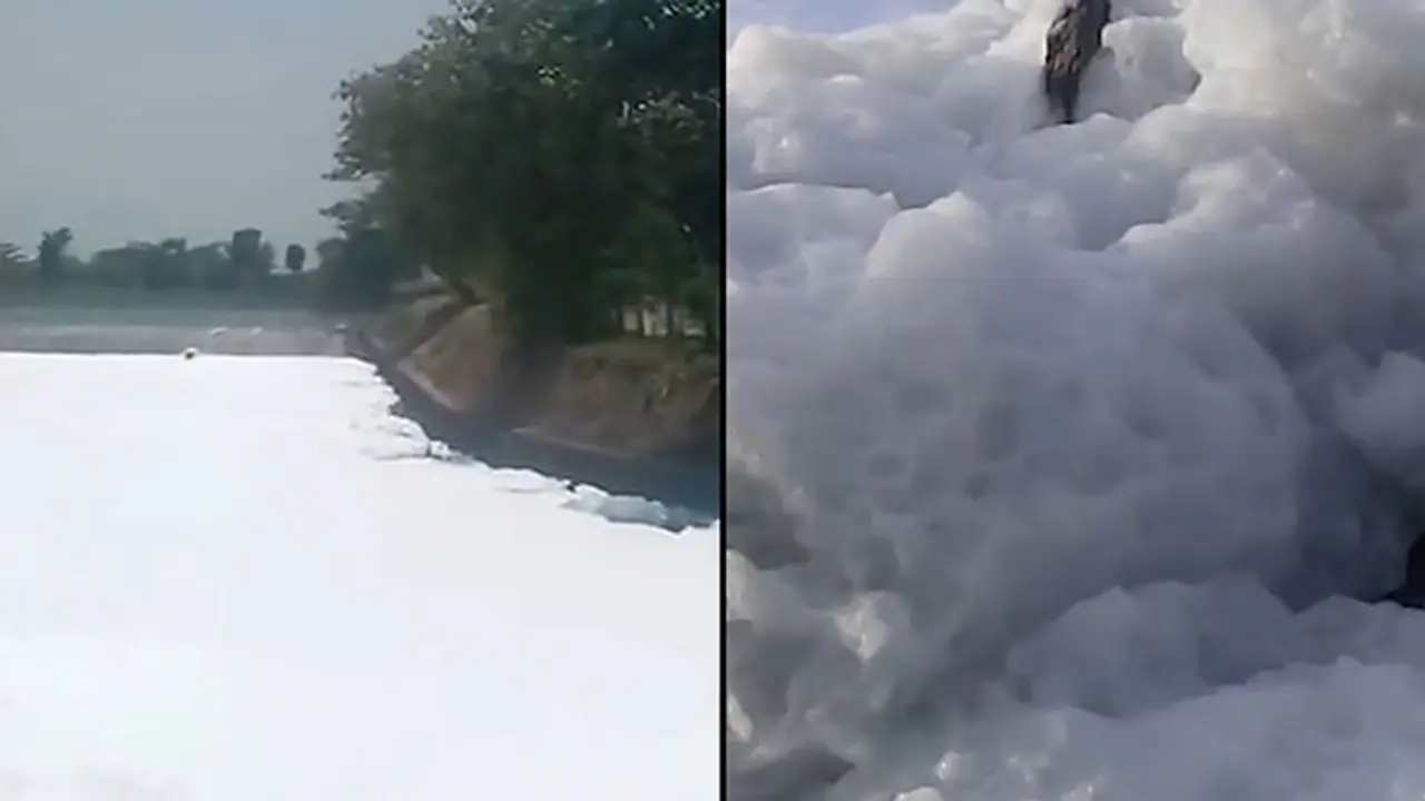 Lake pollution: Karnataka state officials to submit report on failure in maintaining lakes