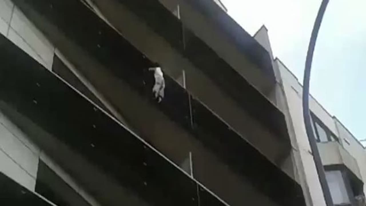 குழந்தையை காப்பாற்றி ஸ்பைடர் மேனுக்கு என்னென்ன கிடைத்தது தெரியுமா? குழந்தையை காப்பாற்றி ஸ்பைடர் மேனுக்கு என்னென்ன கிடைத்தது தெரியுமா?