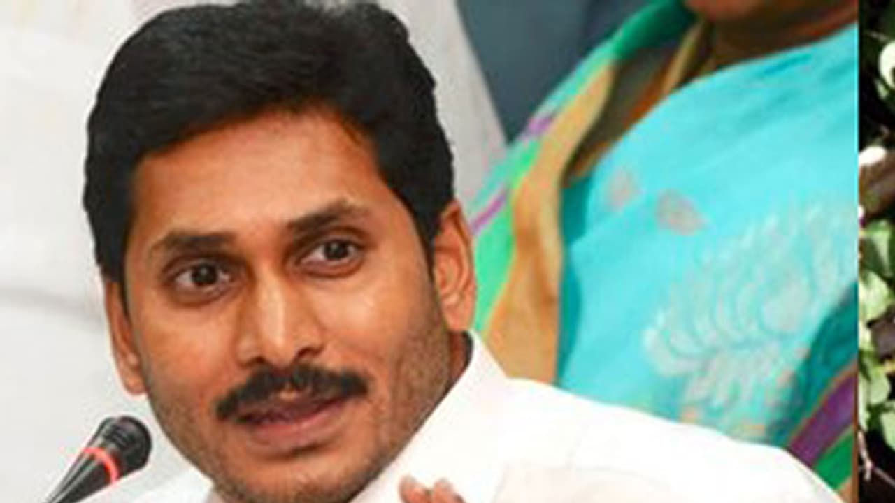 ఆధిపత్యం కోసమే జెసి ఆరాటం ఆధిపత్యం కోసమే జెసి ఆరాటం