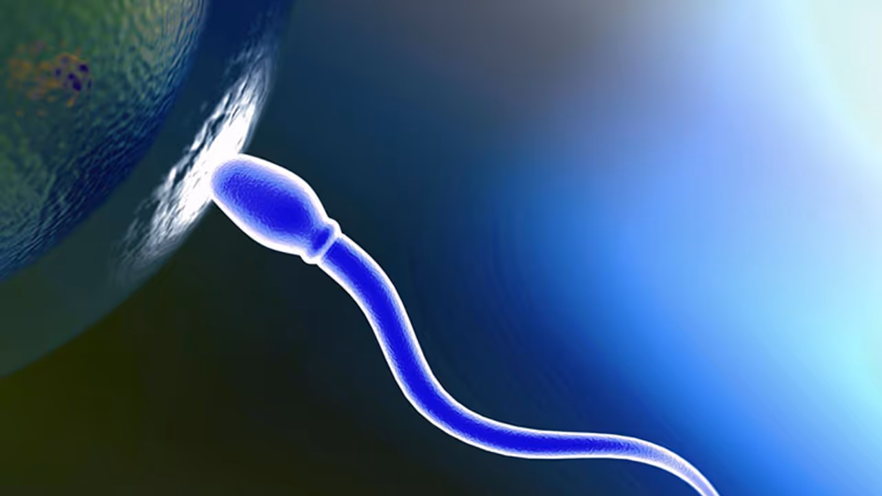 സ്പേം കൗണ്ട് അറിയാന് ഒരു സ്മാര്ട്ട്ഫോണ് മതി സ്പേം കൗണ്ട് അറിയാന് ഒരു സ്മാര്ട്ട്ഫോണ് മതി