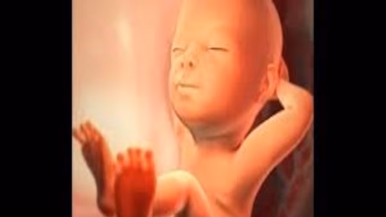 வயிற்றில் வளர்வது ஆண் குழந்தைதான் என்பதற்கான அறிகுறிகள்... படிங்க நீங்களே ஆச்சரியப்படுவீங்க! 