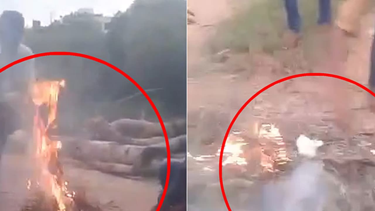 Puppy burning video: Eight juveniles arrested by Hyderabad police